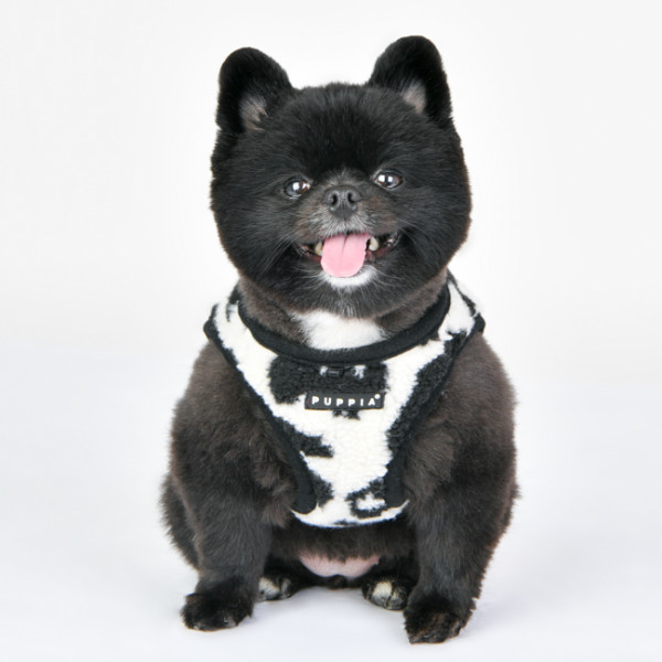 SERVAL HARNESS B SERVAL HARNESS B