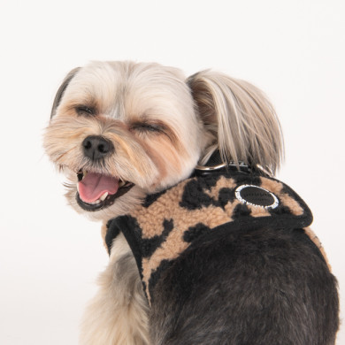 SERVAL HARNESS B SERVAL HARNESS B