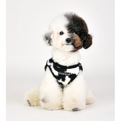 SERVAL HARNESS B