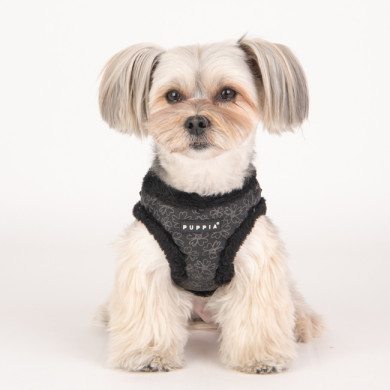 HEPATICA HARNESS B HEPATICA HARNESS B