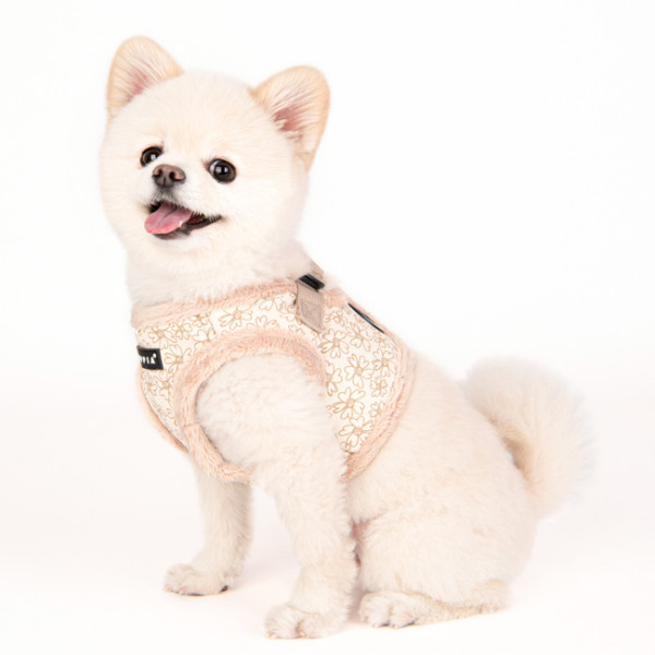 HEPATICA HARNESS B