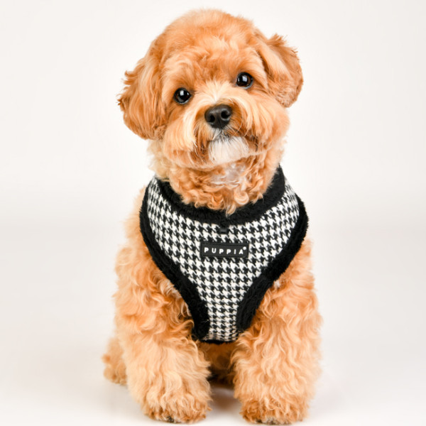 SHEPHERD HARNESS A