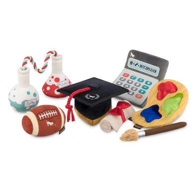 Back to School - PLAY Hundespielzeug Back to School - PLAY Hundespielzeug