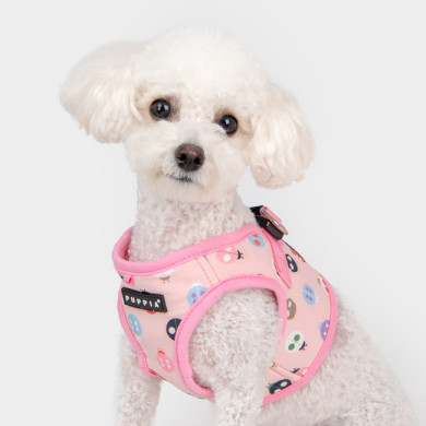 LADY BEETLE HARNESS B LADY BEETLE HARNESS B