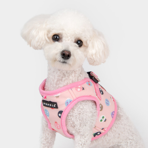LADY BEETLE HARNESS B