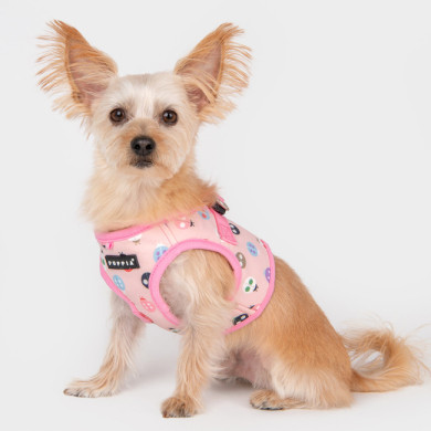 LADY BEETLE HARNESS B LADY BEETLE HARNESS B