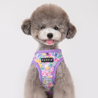 LITA HARNESS A LITA HARNESS A