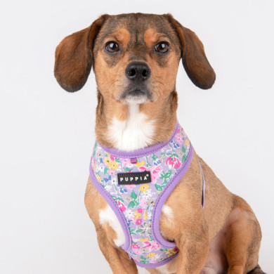 LITA HARNESS A LITA HARNESS A