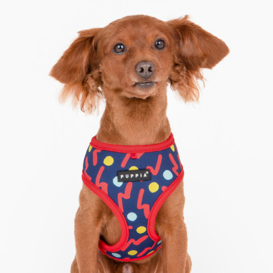FETE HARNESS A FETE HARNESS A