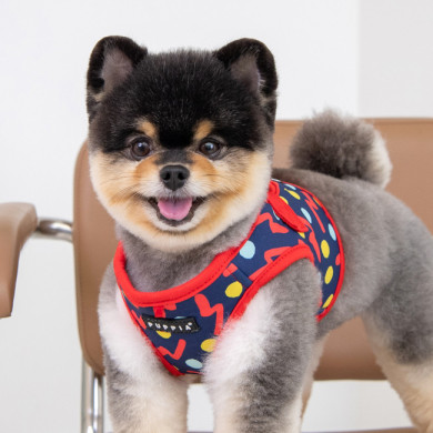 FETE HARNESS B FETE HARNESS B