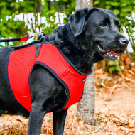 SOFT VEST HARNESS B SOFT VEST HARNESS B