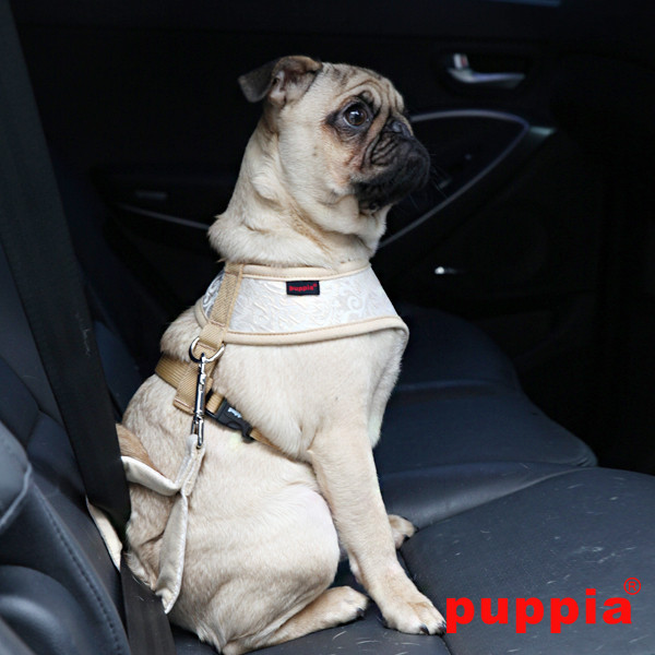 GALA SEATBELT LEAD II