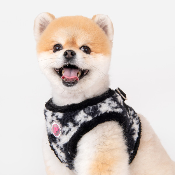 Chyanne Weste - Pinkaholic