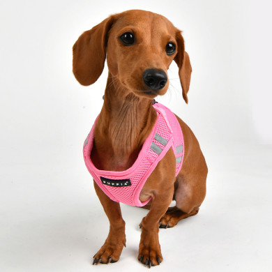 SOFT VEST HARNESS PRO - PUPPIA - Softgeschirr SOFT VEST HARNESS PRO - PUPPIA - Softgeschirr