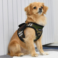 SOFT VEST HARNESS PRO - PUPPIA - Softgeschirr