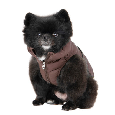 Hundejacke PUFFER VEST JUMPER - Puppia Hundejacke PUFFER VEST JUMPER - Puppia