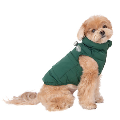 Hundejacke PUFFER VEST JUMPER - Puppia Hundejacke PUFFER VEST JUMPER - Puppia