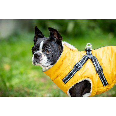 NICK Winterjacke mit Geschirr
