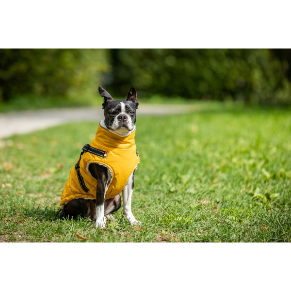NICK Winterjacke mit Geschirr NICK Winterjacke mit Geschirr