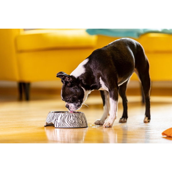 MELAMIN Futternapf - CHIARA