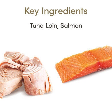 Applaws Senior Katzen - Thunfischfilet mit Lachs 70g (24er Packung) Applaws Senior Katzen - Thunfischfilet mit Lachs 70g (24er Packung)