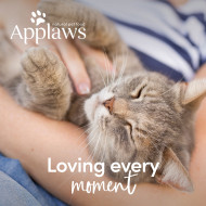 Applaws Senior Katzen - Thunfischfilet mit Lachs 70g (24er Packung)