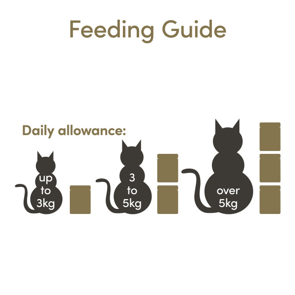 Applaws Thunfisch & Lachs in Gelee 70g (16er Packung) Applaws Thunfisch & Lachs in Gelee 70g (16er Packung)