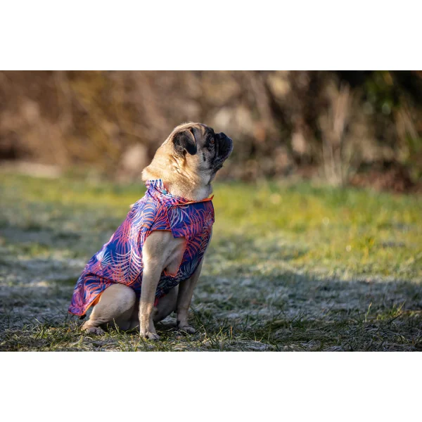 MIAMI Regenjacke wendbar MIAMI Regenjacke wendbar