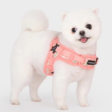LILAC HARNESS X LILAC HARNESS X