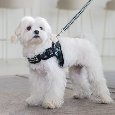 EGON HARNESS X EGON HARNESS X