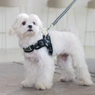 EGON HARNESS X EGON HARNESS X