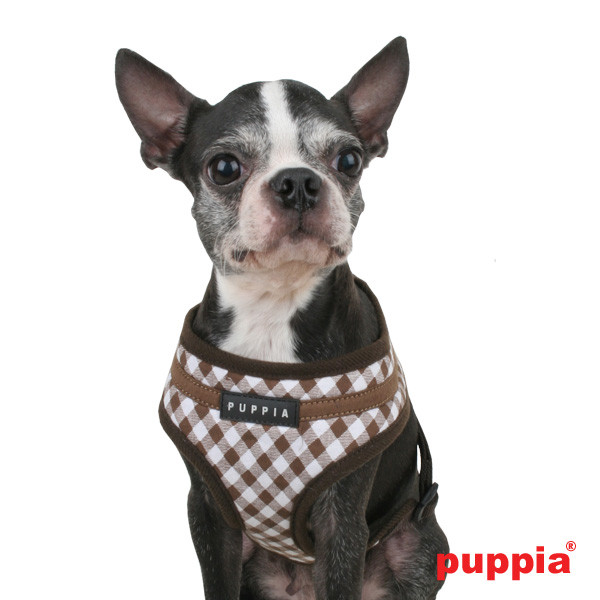 LATTICE HARNESS A LATTICE HARNESS A