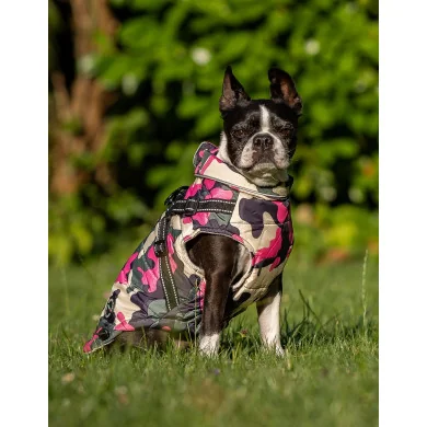 NICK CAMO Winterjacke mit Geschirr NICK CAMO Winterjacke mit Geschirr