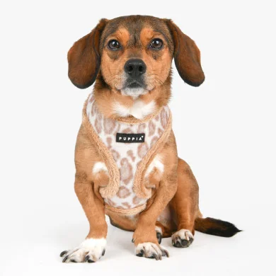KOVO HARNESS A KOVO HARNESS A