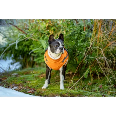 NICK Winterjacke mit Geschirr NICK Winterjacke mit Geschirr