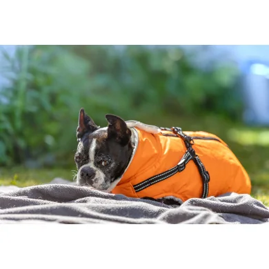 NICK Winterjacke mit Geschirr NICK Winterjacke mit Geschirr