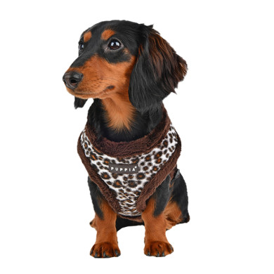 LEONARD HARNESS A LEONARD HARNESS A