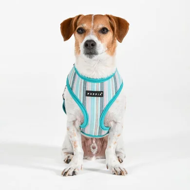THEROS HARNESS A THEROS HARNESS A