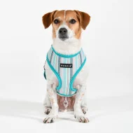 THEROS HARNESS A