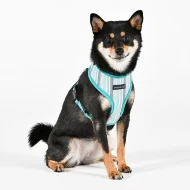 THEROS HARNESS A