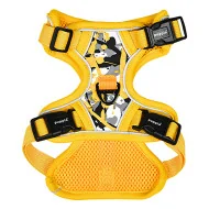 ABSTRACT HARNESS H