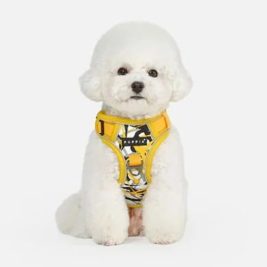 ABSTRACT HARNESS H ABSTRACT HARNESS H