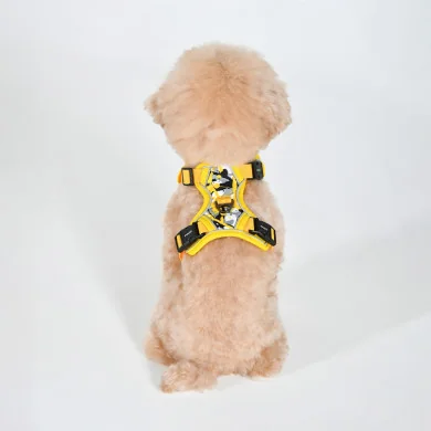 ABSTRACT HARNESS H ABSTRACT HARNESS H