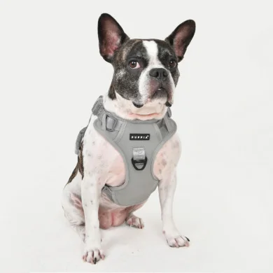 JAREK HARNESS H JAREK HARNESS H