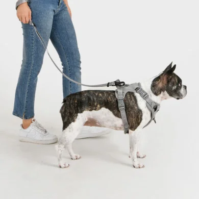JAREK HARNESS H JAREK HARNESS H