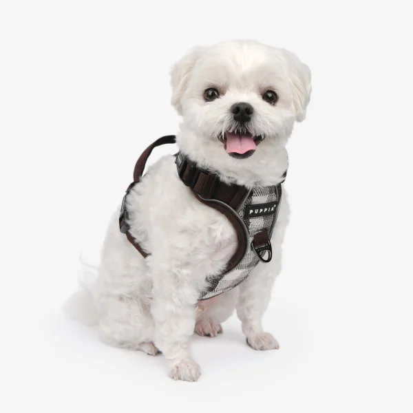 GARRETT HARNESS H