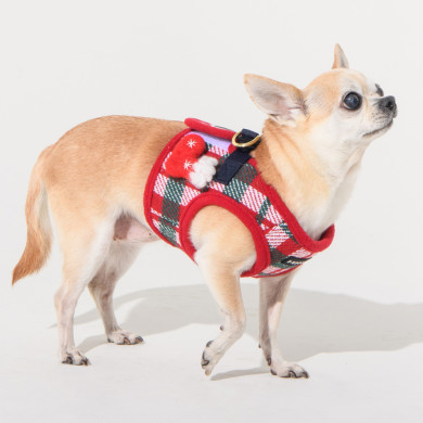FESTIVE HARNESS B FESTIVE HARNESS B