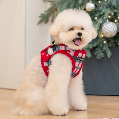 FESTIVE HARNESS B FESTIVE HARNESS B