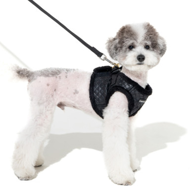 DOUGLAS HARNESS B DOUGLAS HARNESS B