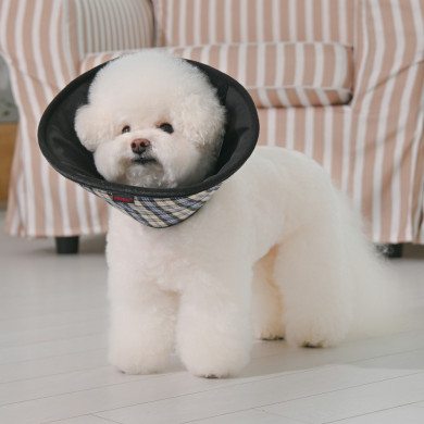 CHARLIE CHECKERED E-COLLAR CHARLIE CHECKERED E-COLLAR